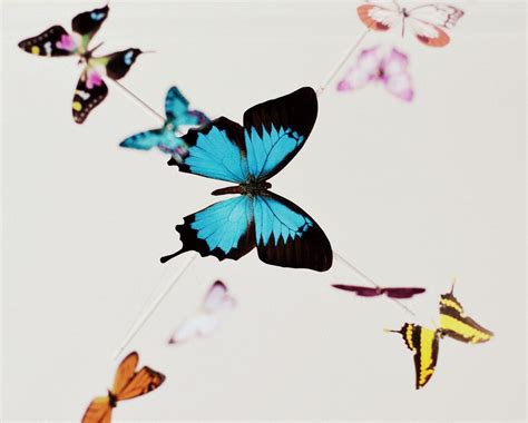 Butterfly 1600×1284 Butterfly Mobile Diy Butterfly Diy Baby Stuff