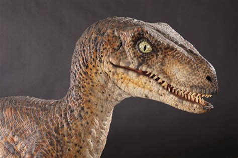 The Weird Unicorns World • Jurassic Park Velociraptors Through The