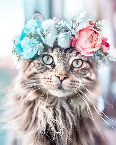 This Artist Creates Flower Crowns For Animals And Gives Them A Majestic