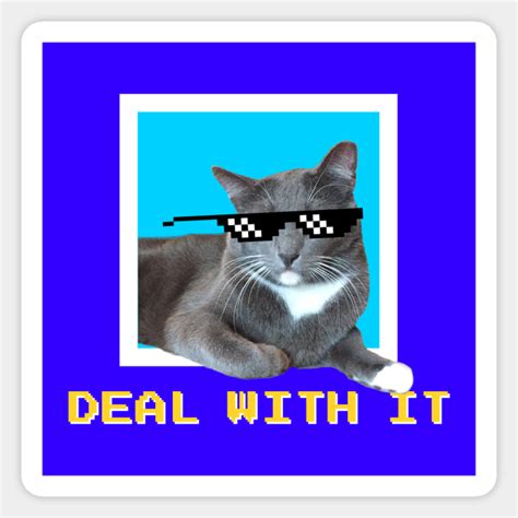 Deal With It Sunglass Cat Meme Deal With It Sunglasses Magnet Teepublic