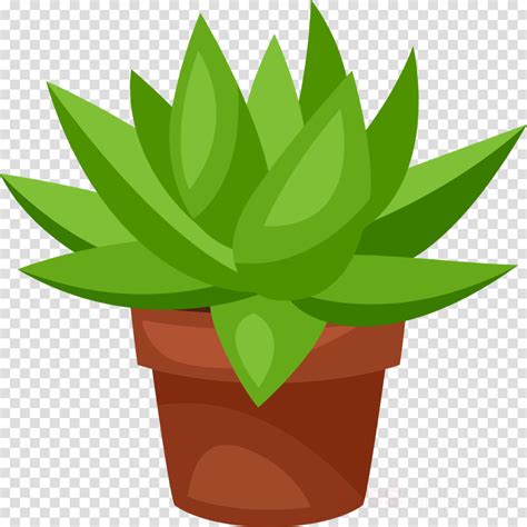 Succulent Clipart Simple Succulent Simple Transparent Free For