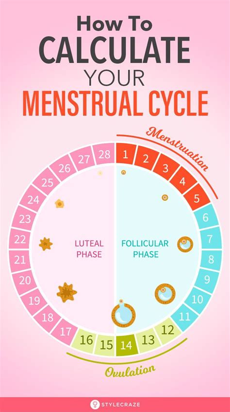Period Calculator Menstrual Cycle Menstrual Healthy Book