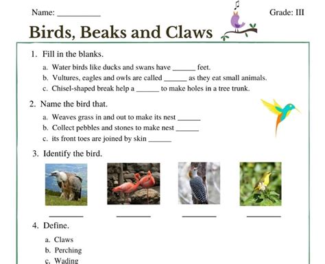 Printable Worksheets For Teaching Birds Beaks And Claws To Class 3 Students