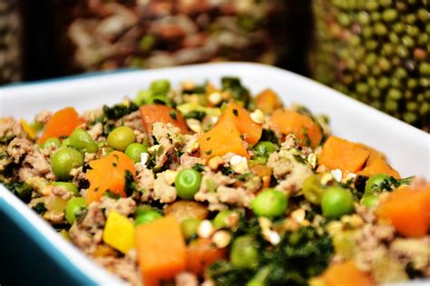 Combine the carrots, turkey, and peas in a bowl and mix well. Turkey Mince for Dogs Homemade Recipe | The Canine ...