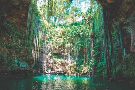Cenotes—underwater Caverns With Freshwater Running Through Them—dot The