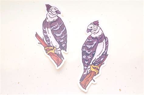 Harpy Eagles Clear Vinyl Sticker Set Alum And Ink