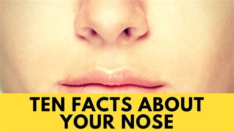 Ten Facts About Your Nose Youtube