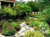 Pictures of Backyard Landscaping Estimates