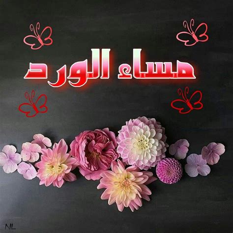 We did not find results for: مساء الخير حبيبتي , أجمل كلام عن مساء الخير - عيون الرومانسية