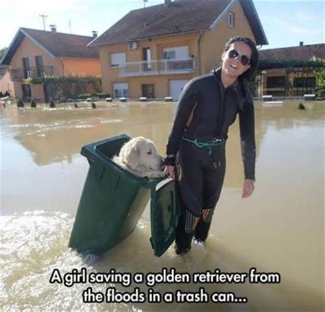 Faith In Humanity Restored 15 Pics Cute Funny Animals Cute Dogs