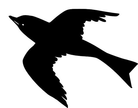 Flying Bird Shadow Clipart Best