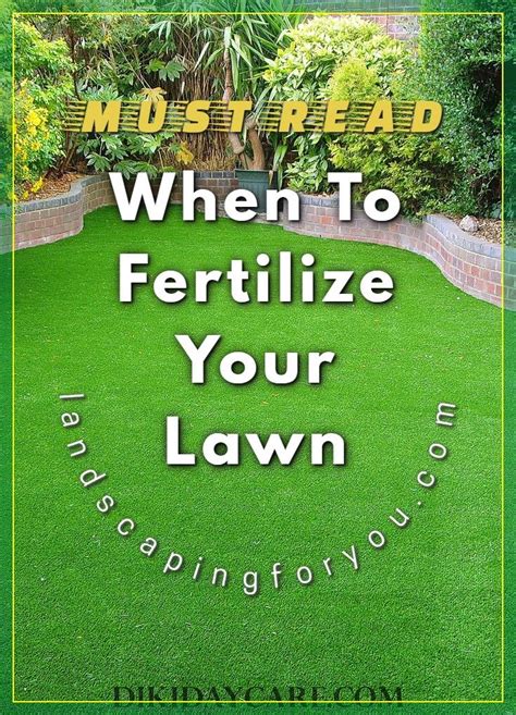 The Tips You Require To Know When And How To Fertilize Lawn Check