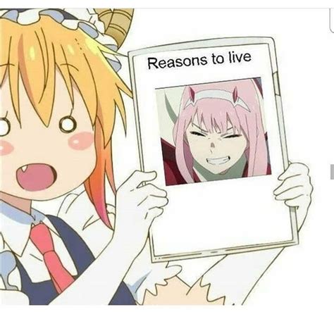 54 Best Darling In The Franxx Memes Images On Pinterest