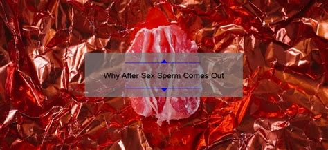 Why After Sex Sperm Comes Out Spermblog