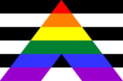 There are two common flags used to identify heterosexual people. Heterosexual Flags