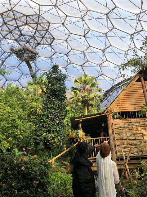 A Fascinating Eye Opening Visit To The Eden Project Fairfield High