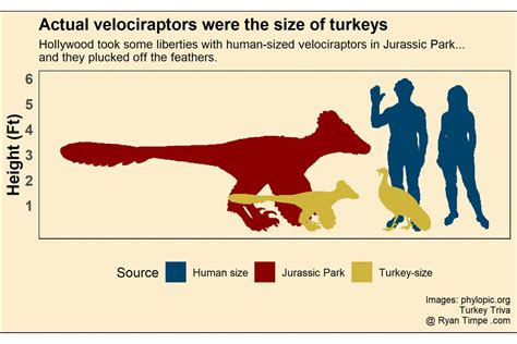 Velociraptor Actual Size