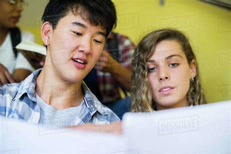 Students Studying Together Stock Photo Dissolve