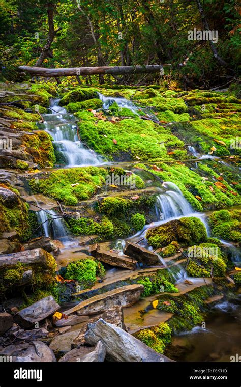 Cascading Waterfall Over Green Moss Covered Rocks In Forillon National