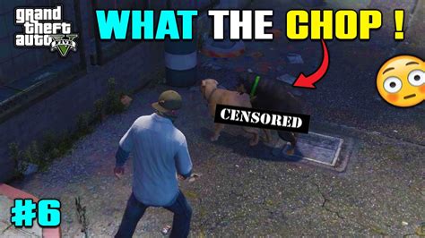 Wtf Chop Gta 5 Mission 6 Story Mode Youtube