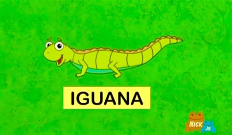 Iguana Dora The Explorer Wiki Fandom