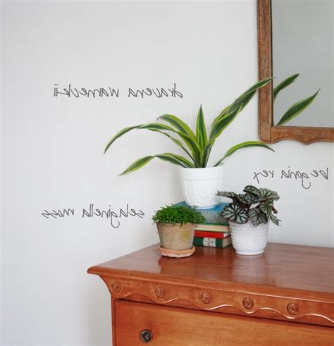 Photos And Names Of Common House Plants