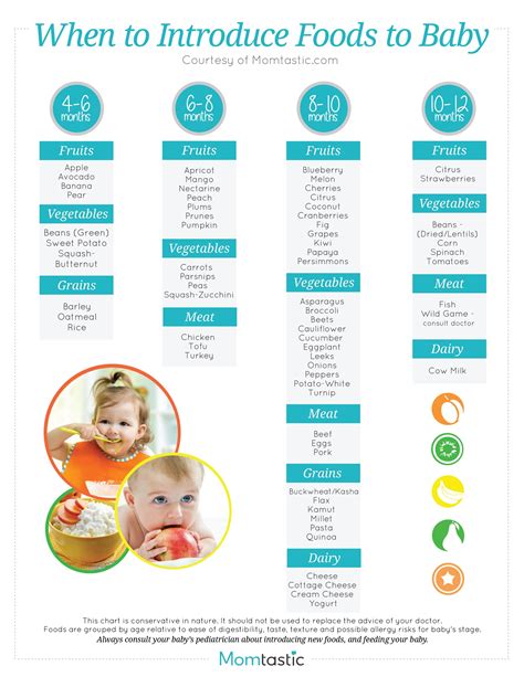What is the first food to give a baby? Solid Food Chart for Babies Aged 4 months through 12 ...