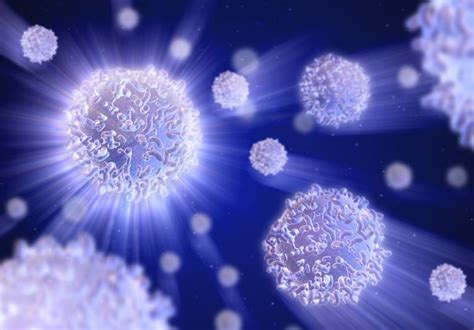 8 Soorten Witte Bloedcellen Wetenschap