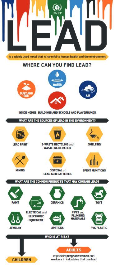 Lead Infographic 8 Infographics Unep Un Environment Programme