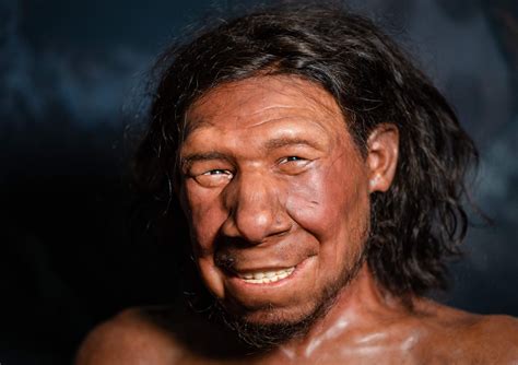 Humans And Neanderthals Co Existed Longer Than Previously Known Study
