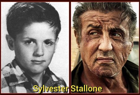 Sylvester Stallone Movie Stars Sylvester Stallone Celebrities Male