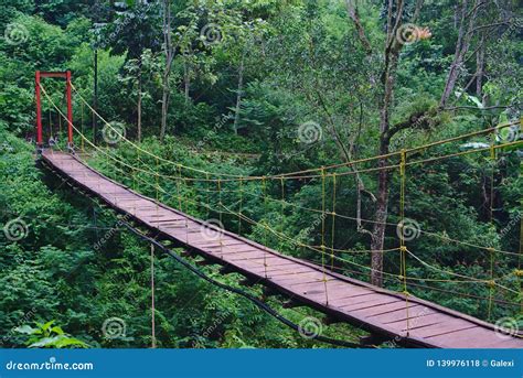 Hanging Wooden Bridge Stock Photo Image Of Rainforest 139976118