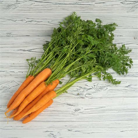 Carrots (Bunch) - Burchills