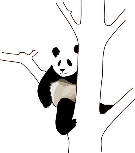 Panda Clipart Free Download Transparent Png Creazilla