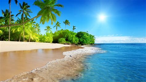 Download Wallpaper 1366x768 Tropical Beach Sea Calm Sunny Day