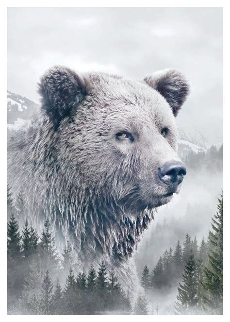 Brown Bear Portrait Animal Double Exposure Faunascapes Art Print By