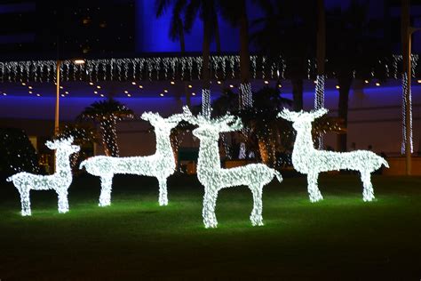 Dubai Christmas Decorations2 Woody World Packer
