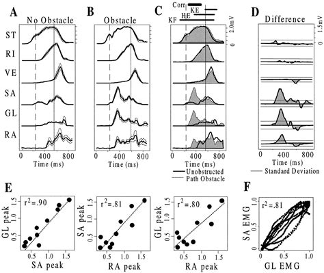 Rapid Correction Of Aimed Movements By Summation Of Force Field