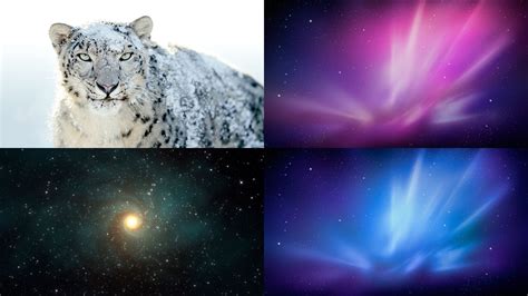 For all the mac fans out there, especially windows users. Mac Os X Snow Leopard Wallpaper - WallpaperSafari