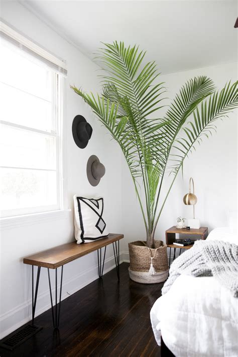 fascinating bedrooms  plants     jungle page