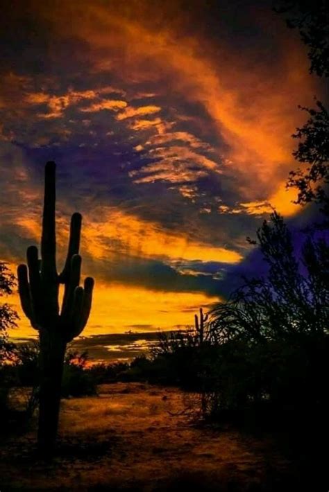 Arizona Sunset 2019 Arizona Sunset Desert Sunset