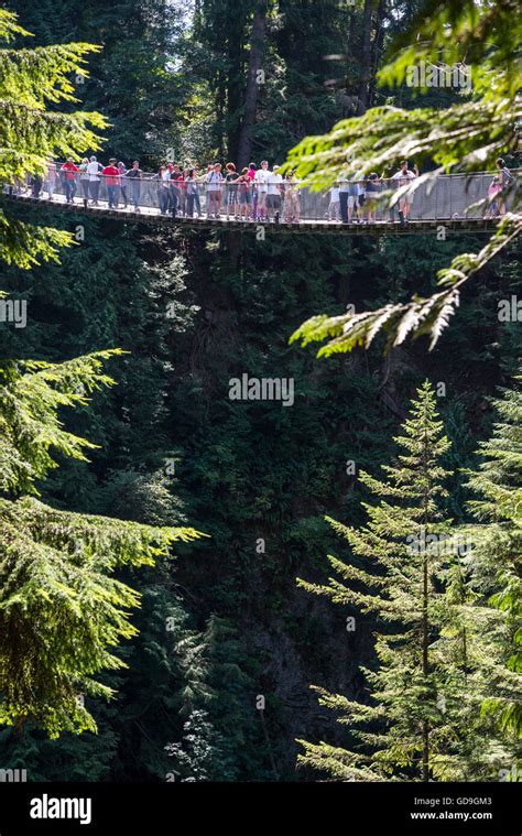 Capilano Suspension Bridge Vancouver British Columbia Canada Stock