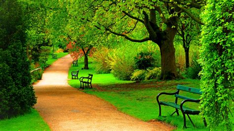Free Download Green Park Trees Nature Beautiful Day Hd Wallpaper