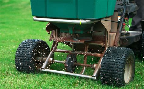 7 Of The Most Important Lawn Care Tips For Texas Homeowners