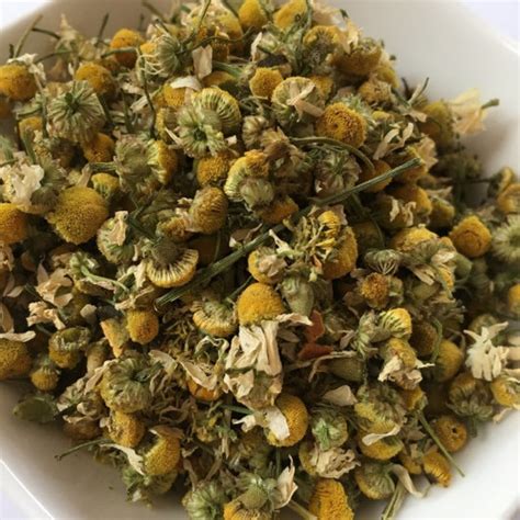 Herbal Teachamomilecamomilepure Teadried Chamomile Etsy