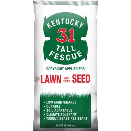Kentucky 31 Tall Fescue Grass Seed 50 Lbs Fescue Grass Seed Fescue