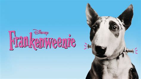 All the disney, marvel, pixar and star wars you could ever want. Watch Frankenweenie (Short) | Full movie | Disney+