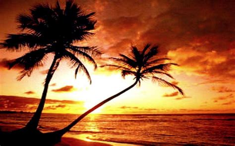 Tropical Beach Sunset Wallpapers Top Free Tropical Beach Sunset