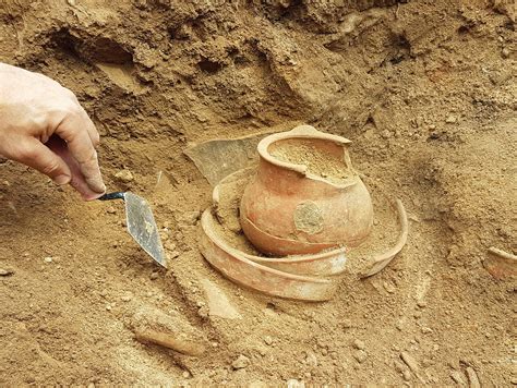 Five Reasons To Study Archaeology Dr Paul M Willette