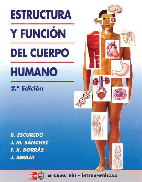 Elementos Del Cuerpo Humano Y Sus Funciones Kulturaupice